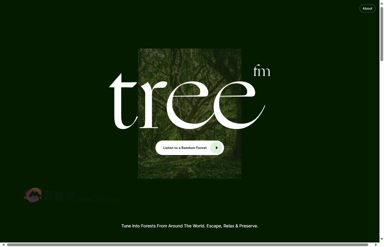 Tree.fm