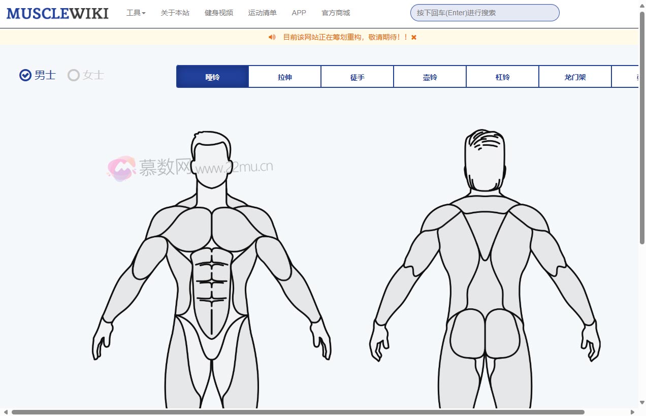 MuscleWiki 中文健身网