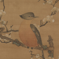 书库