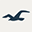 Hollister Co.