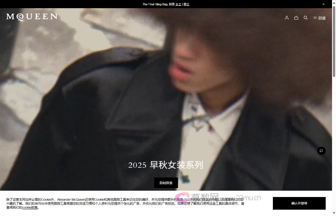 Alexander McQueen中国官网