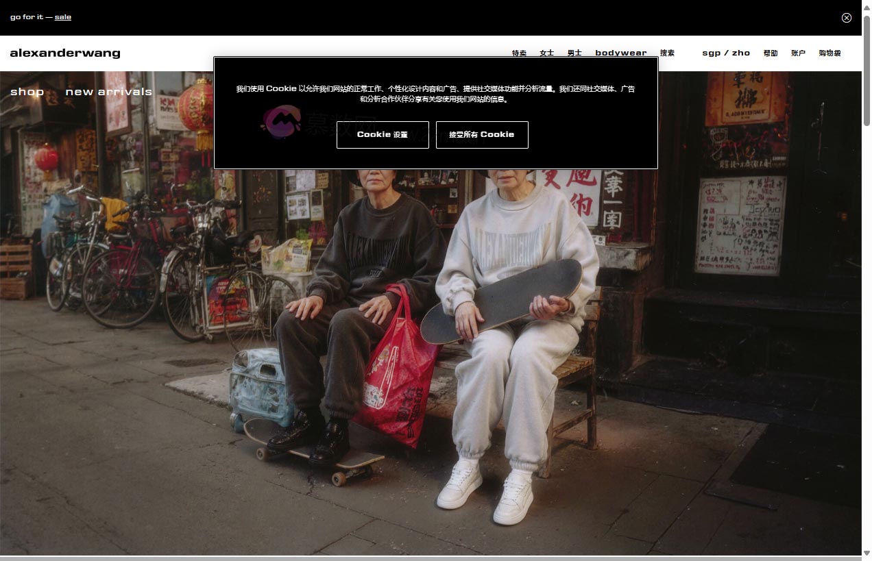 Alexander Wang 亚历山大王