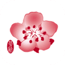 中华航空公司