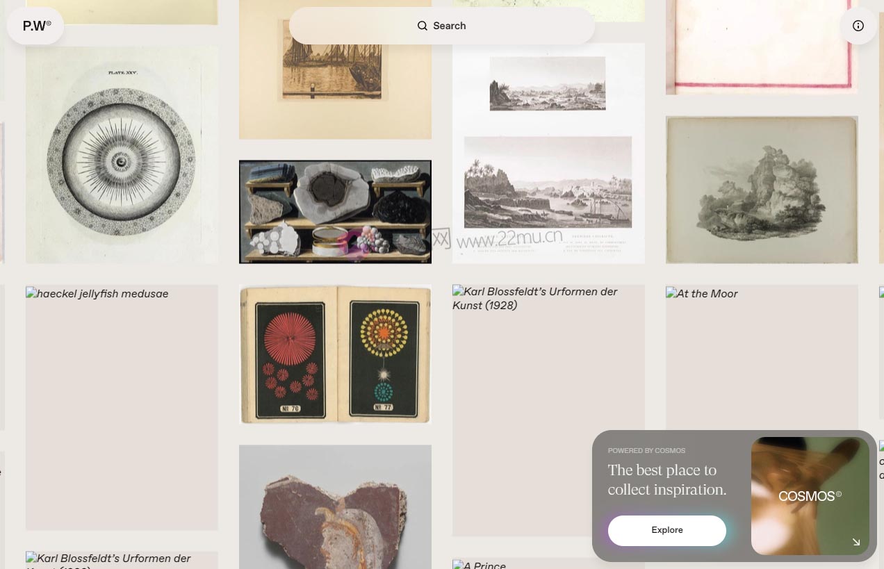 Public Work by Cosmos