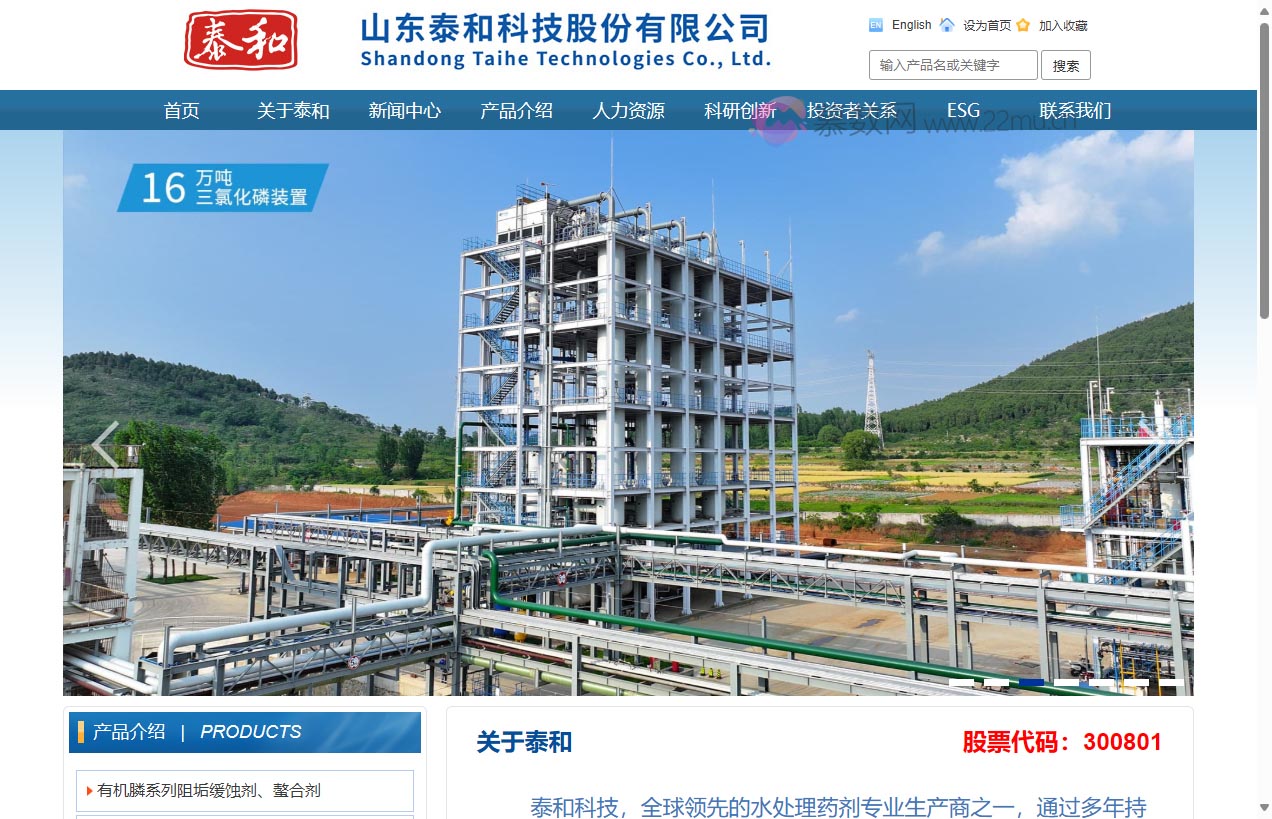 山东泰和科技股份有限公司