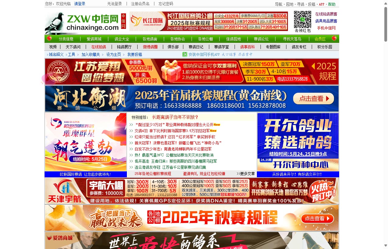 中信网-信鸽信息网