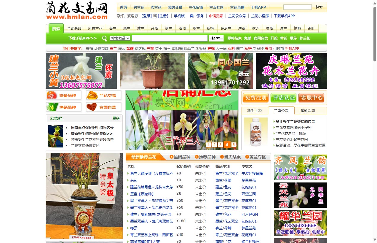 中国兰花交易网