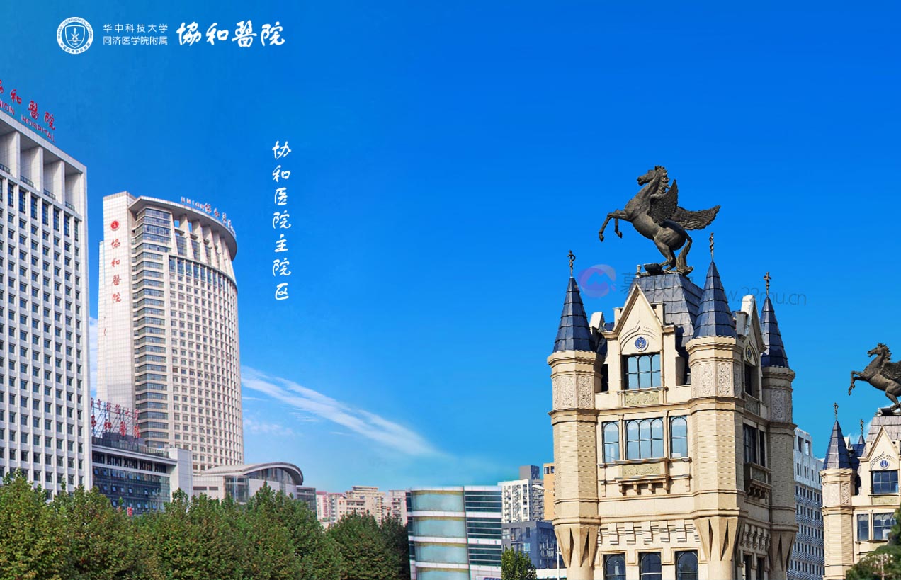 华中科技大学同济医学院附属协和医院