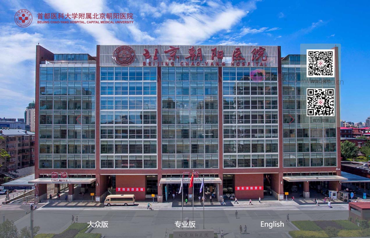 首都医科大学附属北京朝阳医院