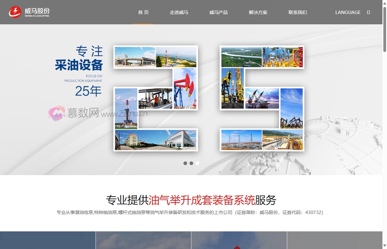 山东威马泵业股份有限公司