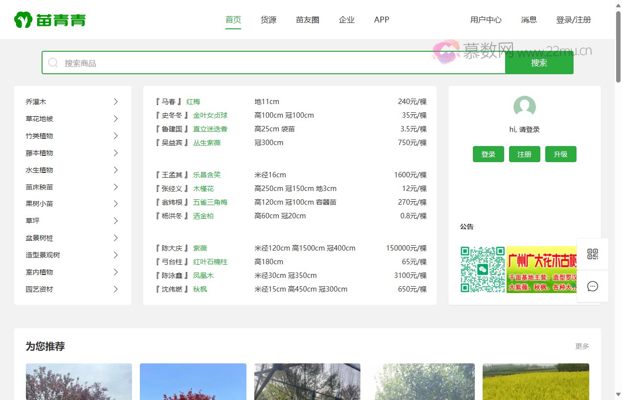 苗青青（青青花木网）