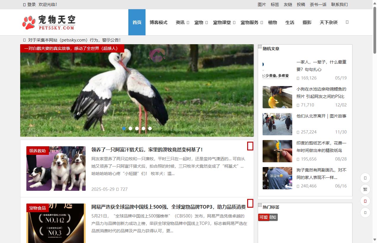 宠物天空网